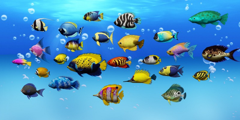 Bắn Cá Fafa là phiên bản game nâng cấp với nhiều điểm mới lạ