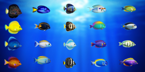 Hệ số cá là yếu tố quan trọng tạo nên sự hấp dẫn của trò chơi